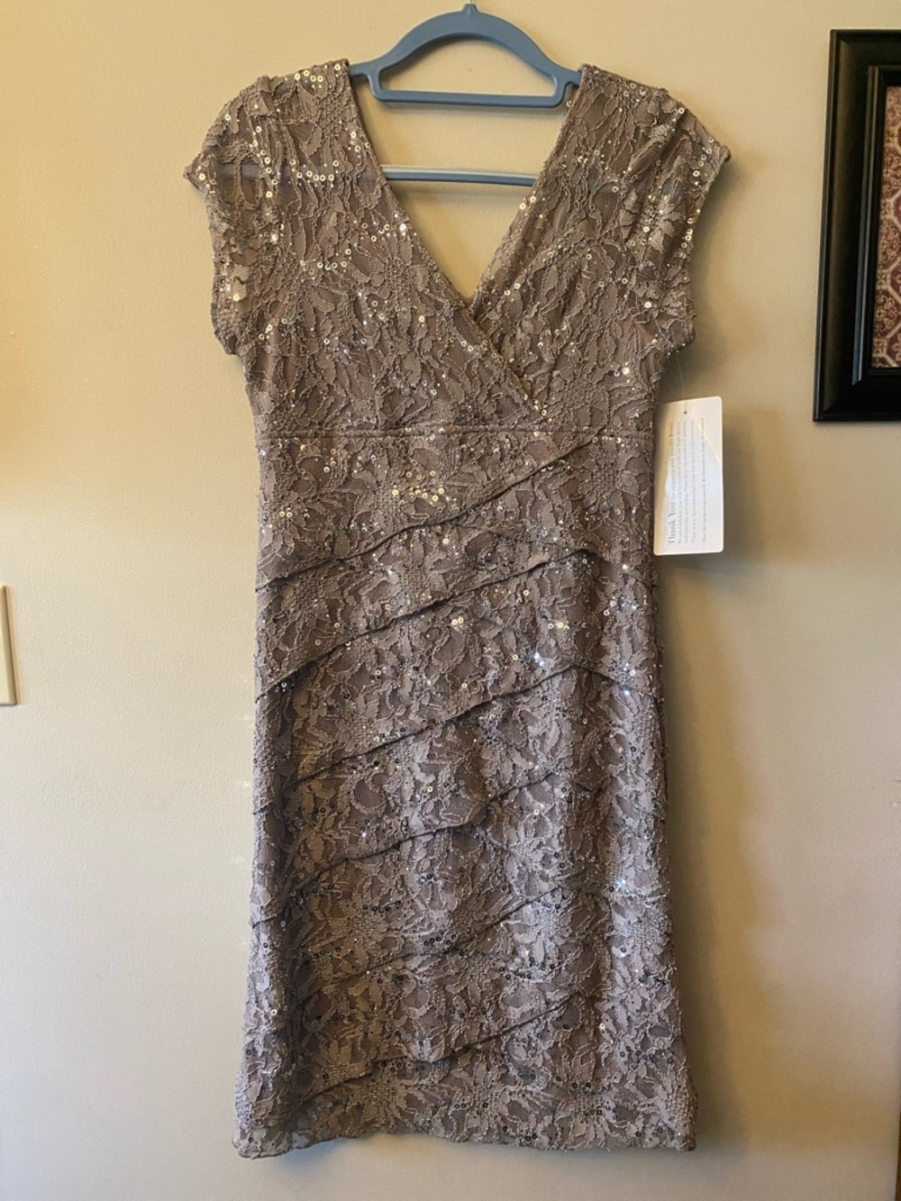 Scarlett Nite Taupe Sequin Lace Midi Dress 🆕